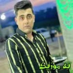 دانلود آهنگ قسمت من شی میشی تو دلدار قسمت نباشی میشی عکس یادگار سعید کریمی