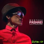 دانلود ریمیکس نمیدونن تو تمومه غمامو کم میکنی  صدای زن هوش مصنوعی مرتضی پاشایی