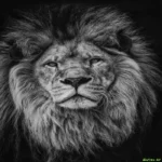 دانلود آهنگ خشی زندییم ره تو کردی ولم علی محمودی